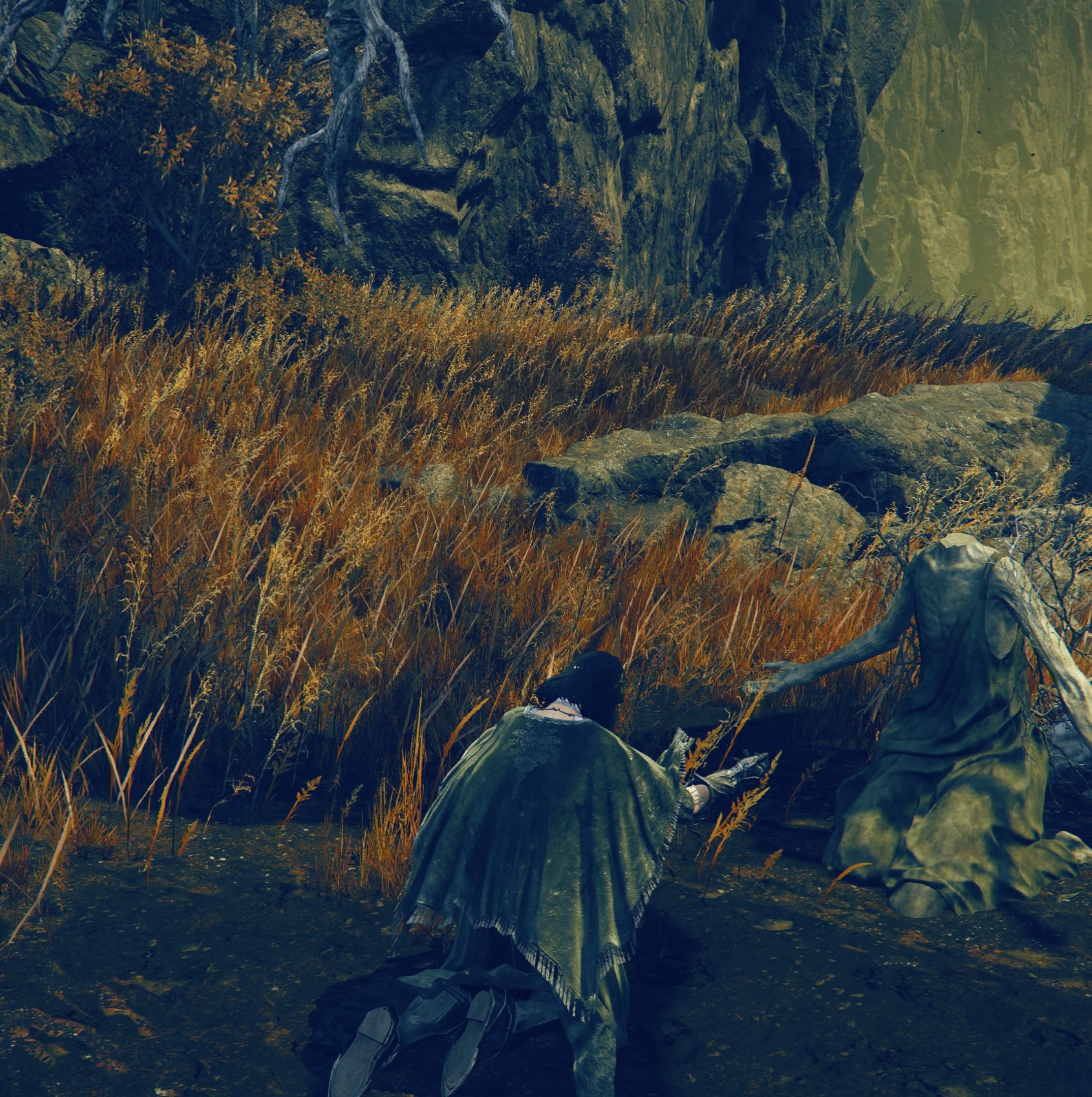 Where to find the O Mother gesture in Elden Ring: Shadow of the Erdtree